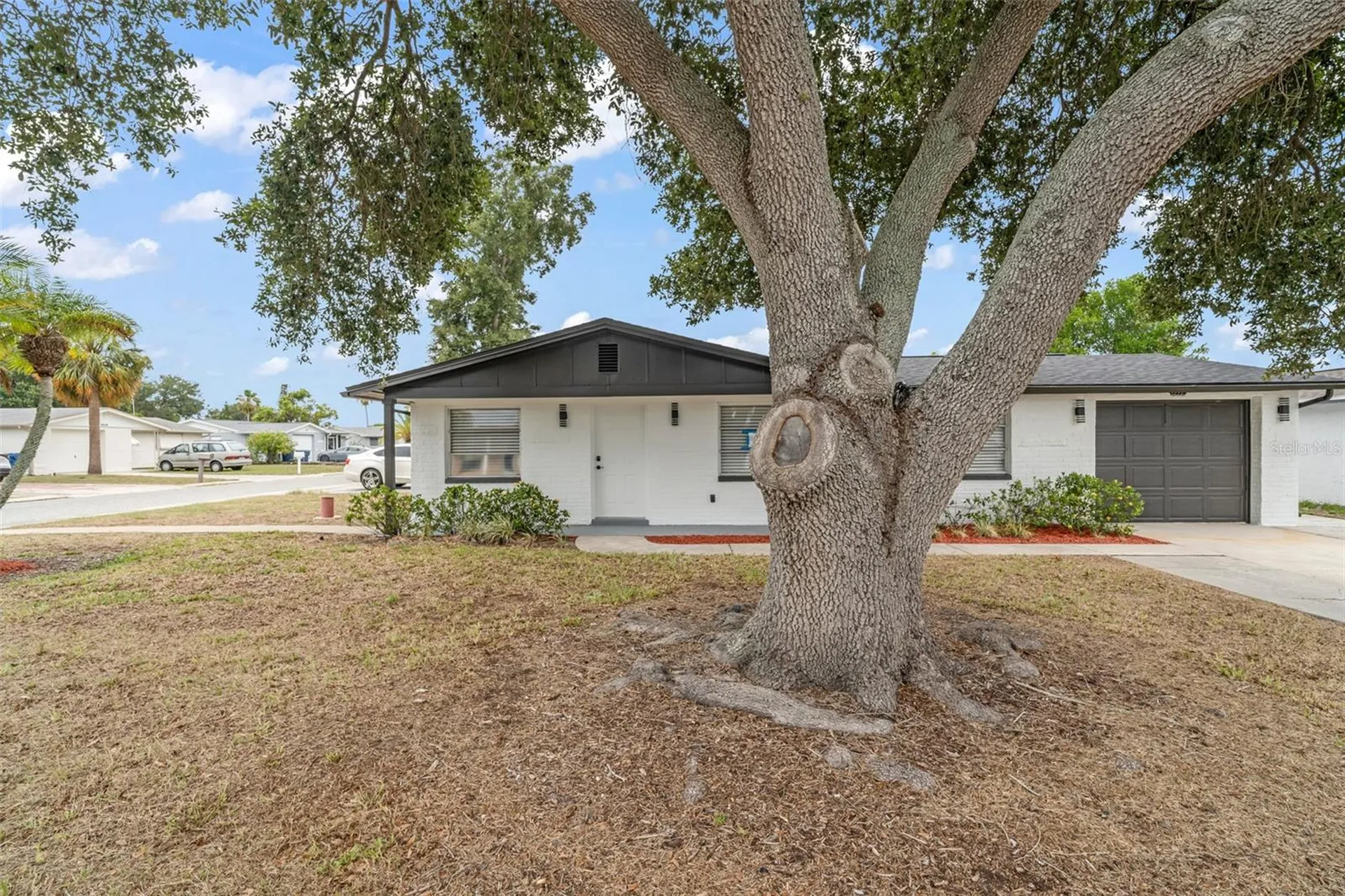 3325 Darlington Road Holiday FL 34691