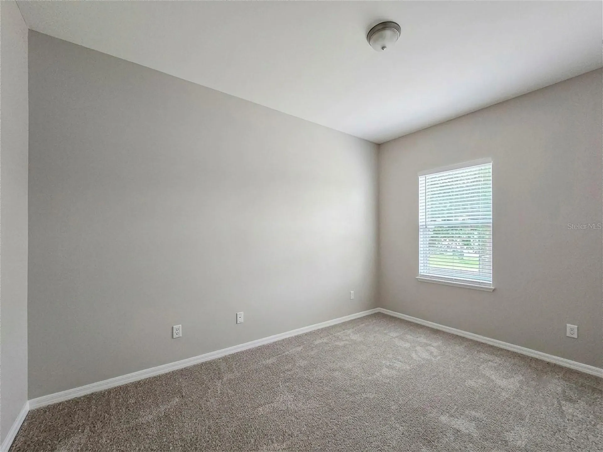 Fruitland Park FL 34731