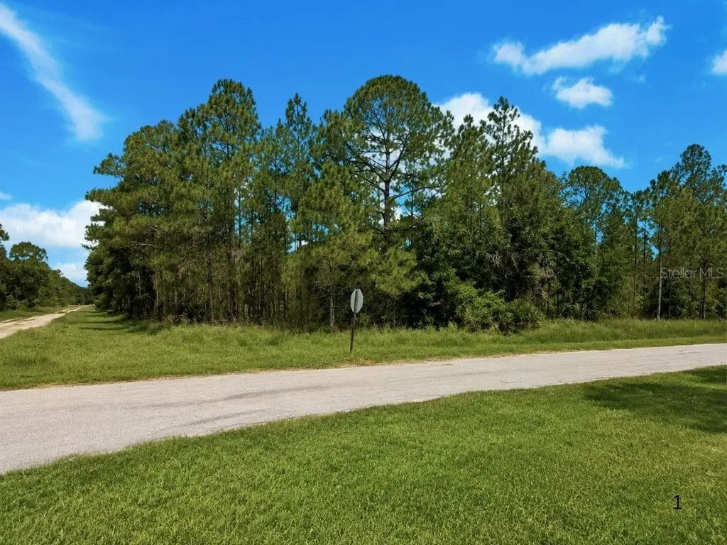 3250 Plumosa Drive Indian Lake Estates FL 33855