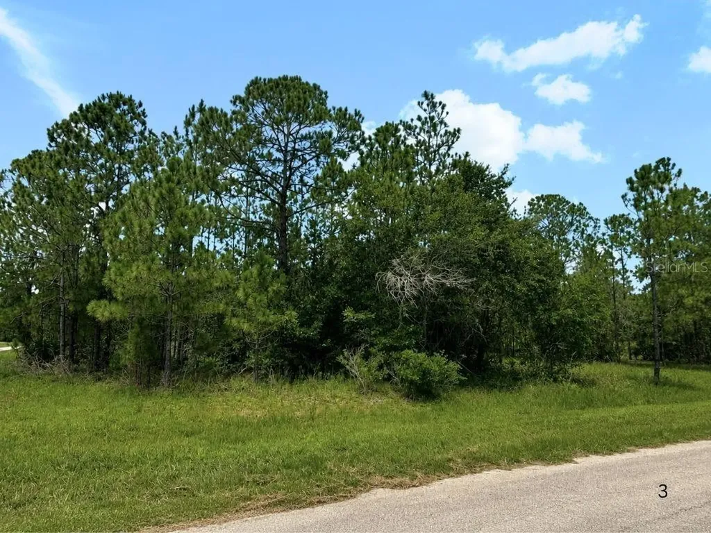 3250 Plumosa Drive Indian Lake Estates FL 33855