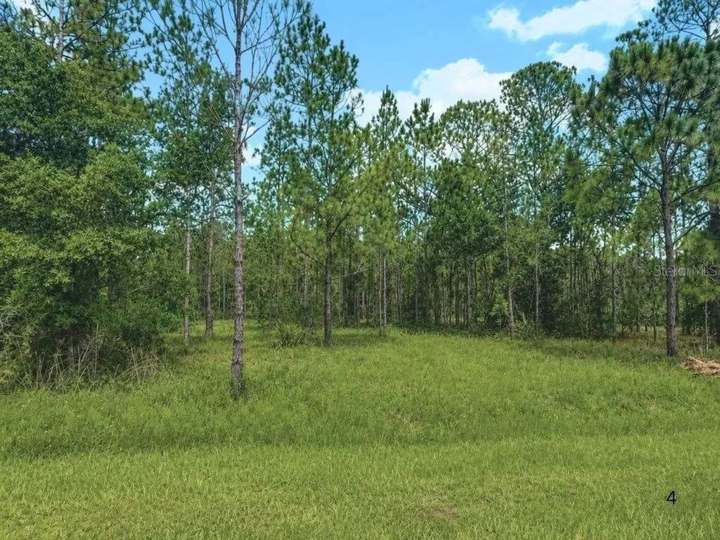 3250 Plumosa Drive Indian Lake Estates FL 33855