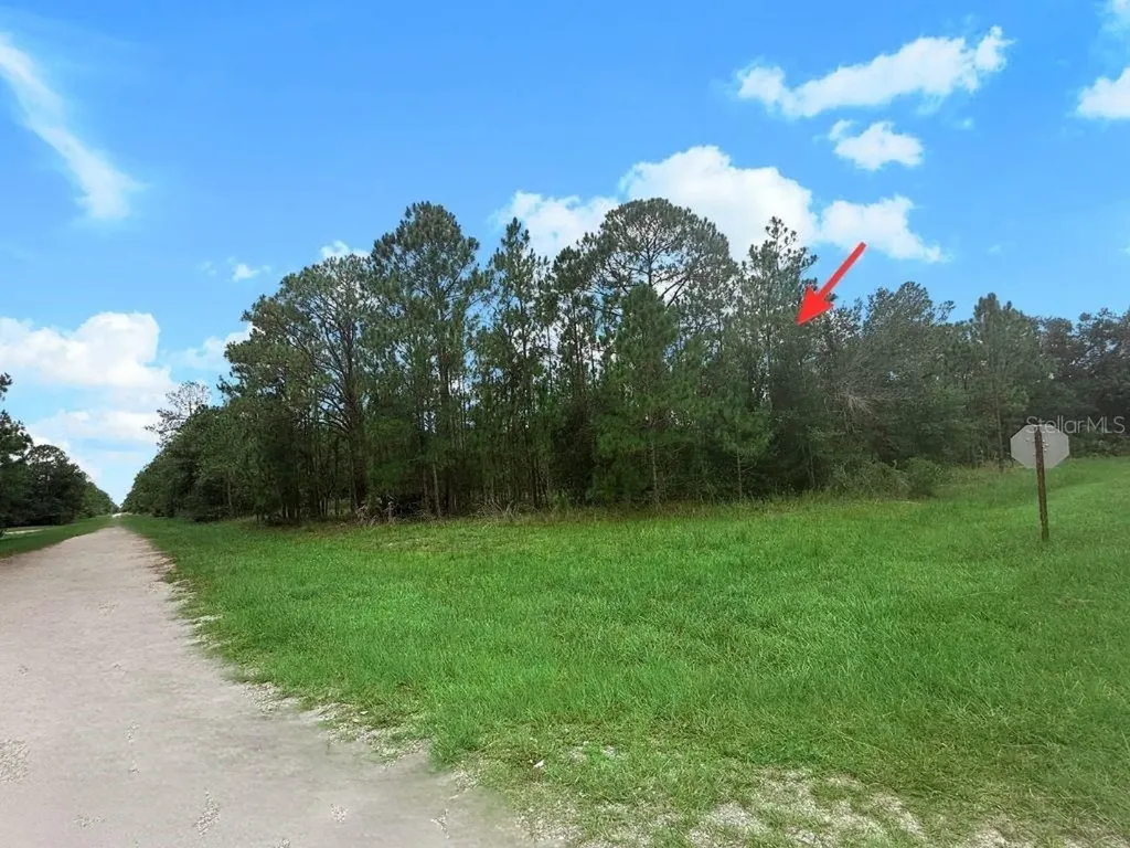 3250 Plumosa Drive Indian Lake Estates FL 33855