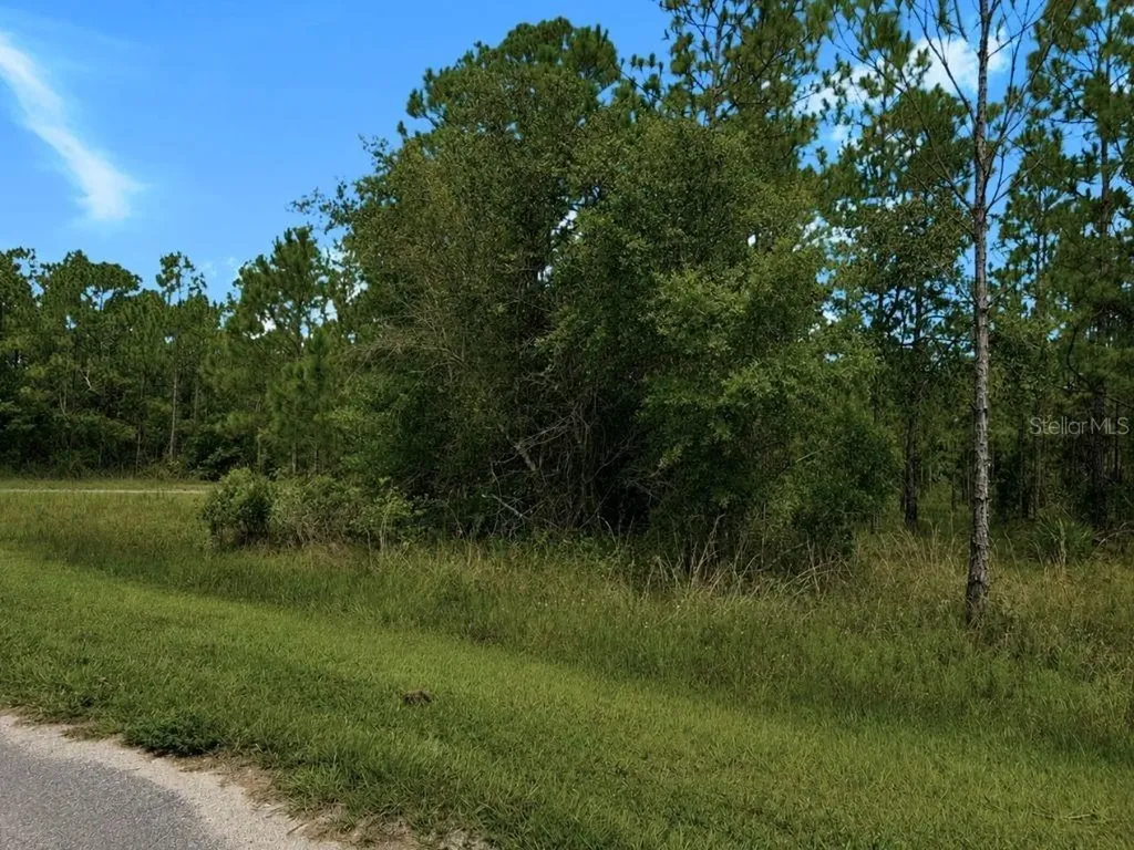 3250 Plumosa Drive Indian Lake Estates FL 33855