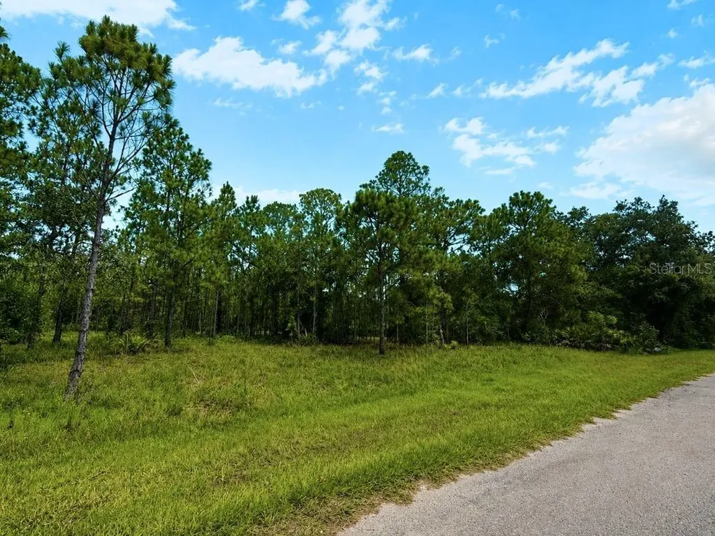 3250 Plumosa Drive Indian Lake Estates FL 33855