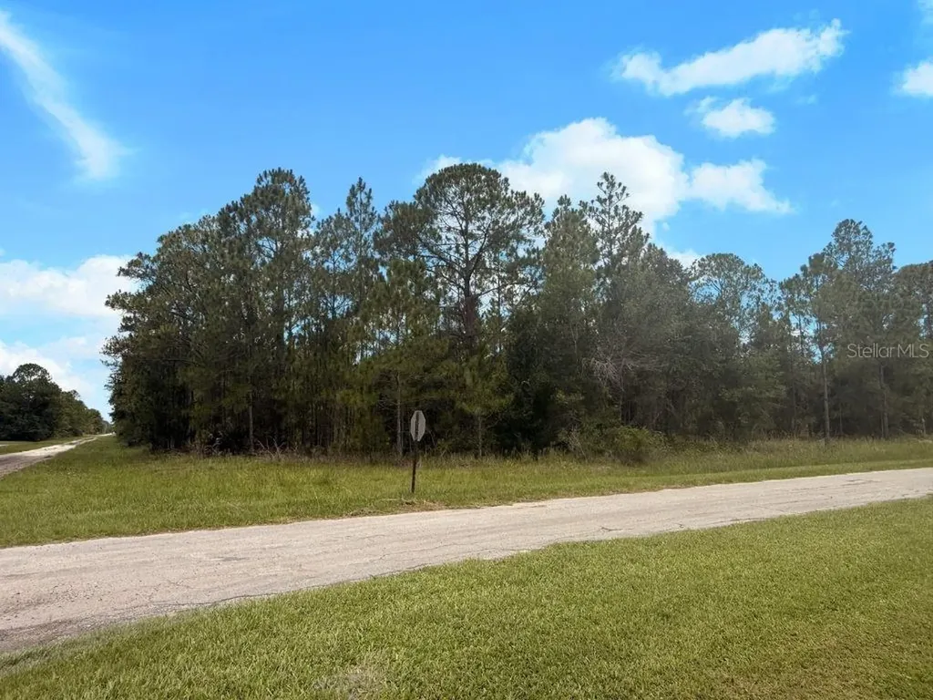 3250 Plumosa Drive Indian Lake Estates FL 33855