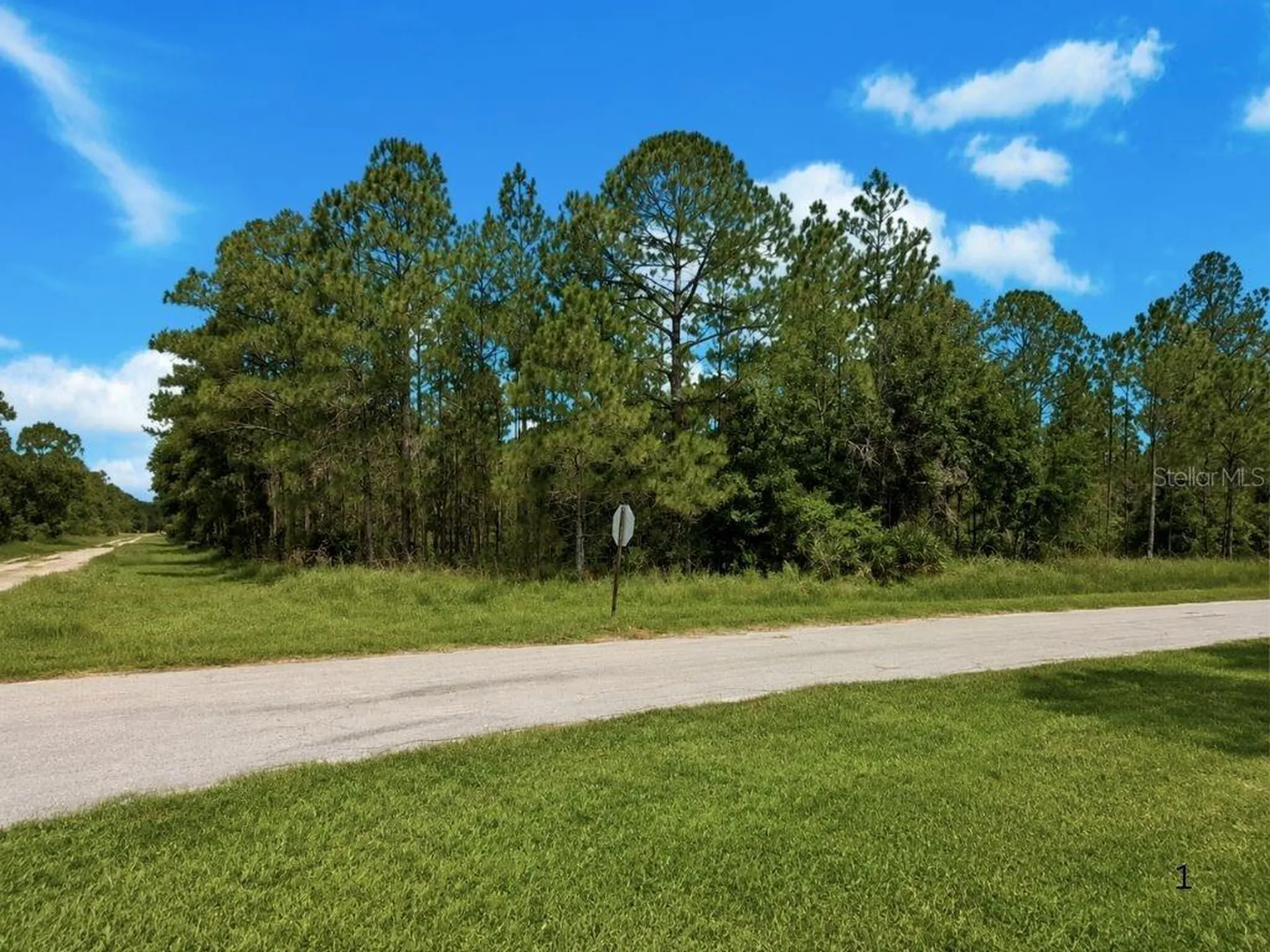 3250 Plumosa Drive Indian Lake Estates FL 33855