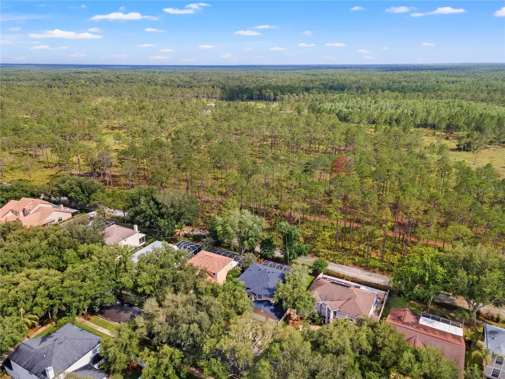 9307 Poplar Creek Court Tampa FL 33647