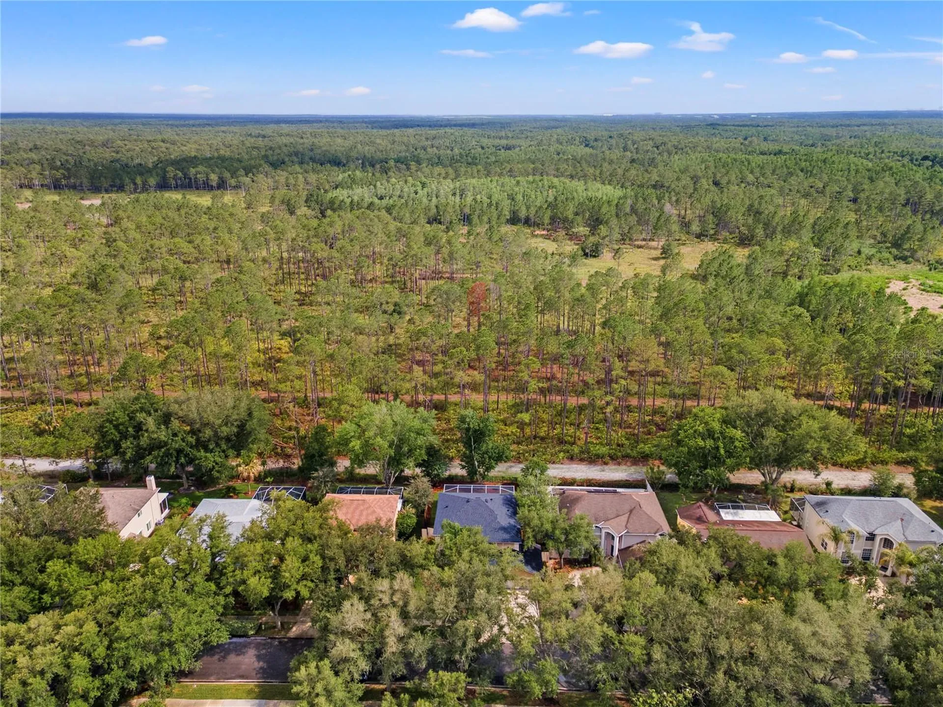 9307 Poplar Creek Court Tampa FL 33647