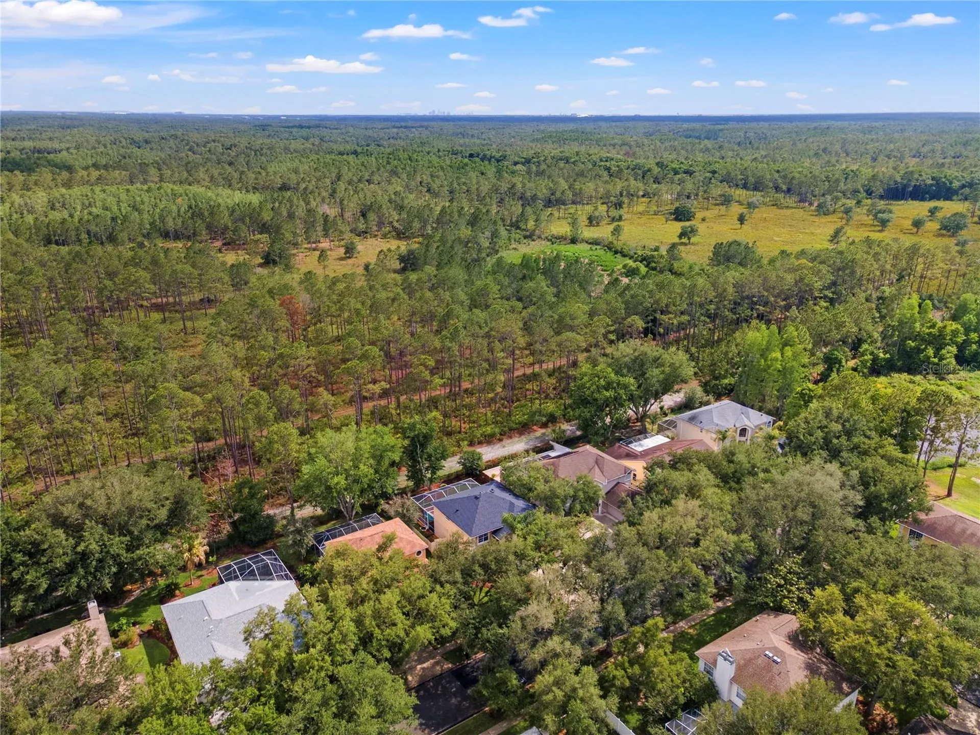 9307 Poplar Creek Court Tampa FL 33647