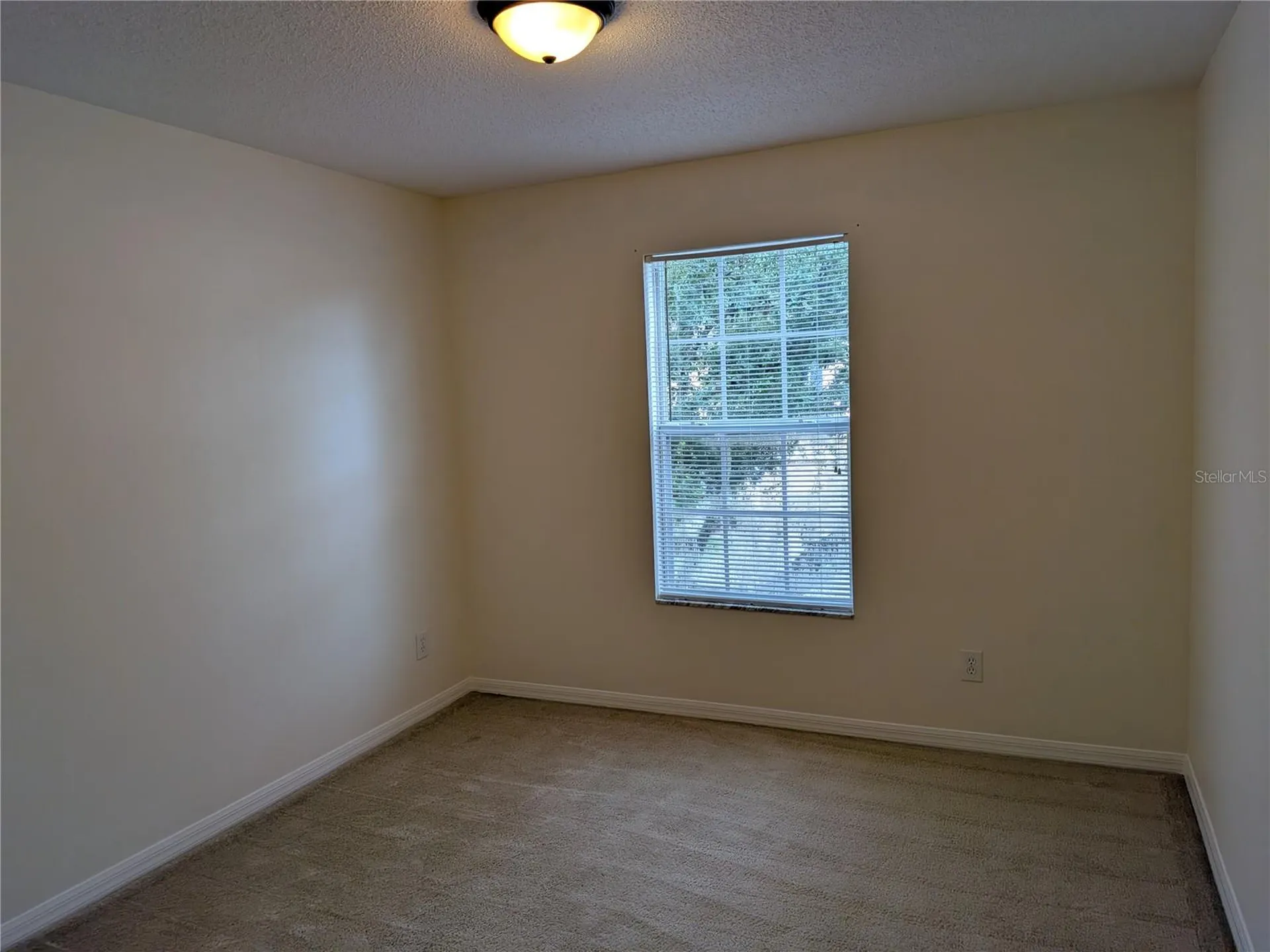 4522 Winding River Way Land O Lakes FL 34639