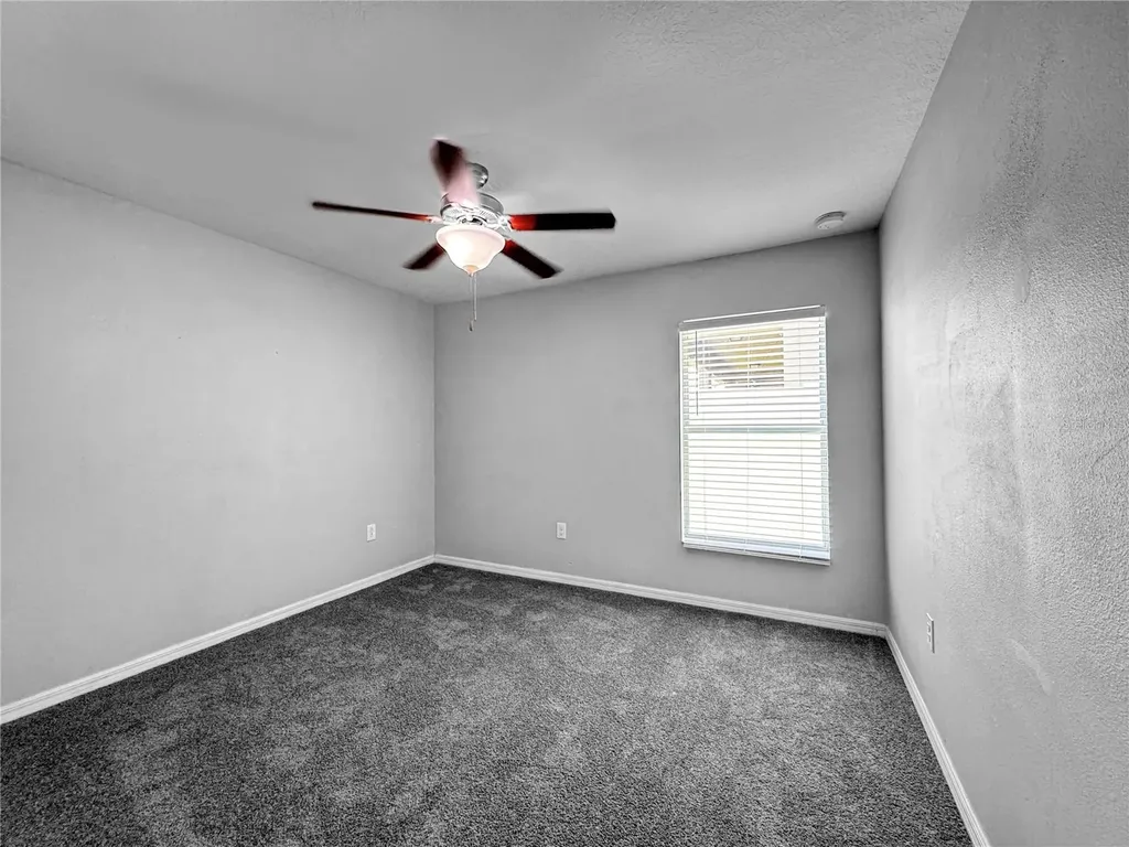Wimauma FL 33598