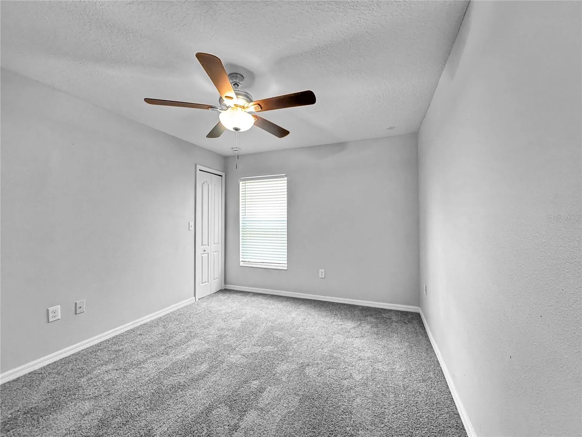 Wimauma FL 33598
