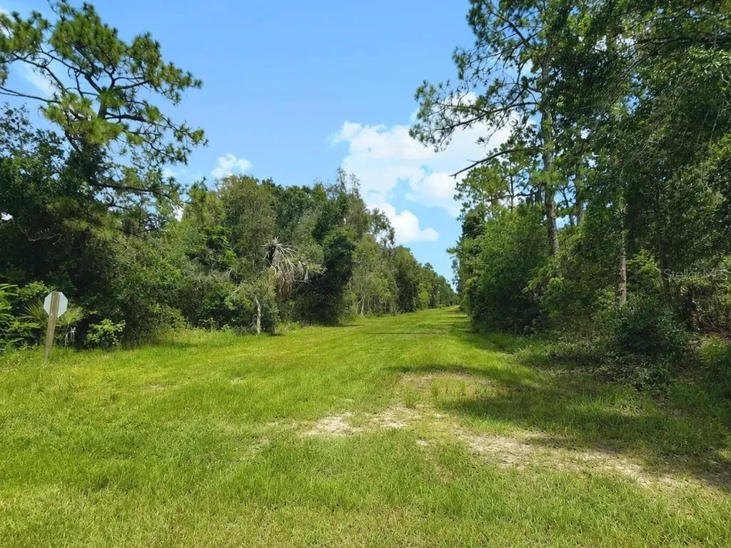 Blk 254 Lot 7 El Dorado Drive Indian Lake Estates FL 33855