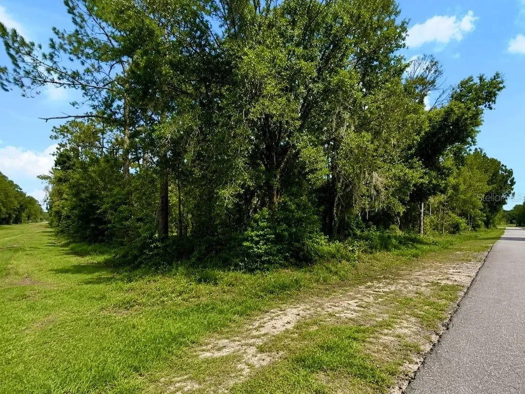 Blk 254 Lot 7 El Dorado Drive Indian Lake Estates FL 33855