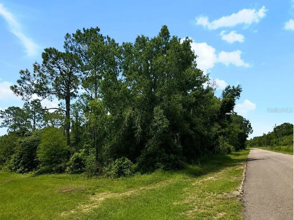Blk 254 Lot 7 El Dorado Drive Indian Lake Estates FL 33855