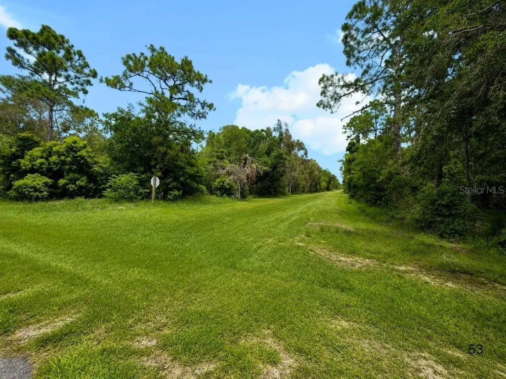 Blk 254 Lot 7 El Dorado Drive Indian Lake Estates FL 33855