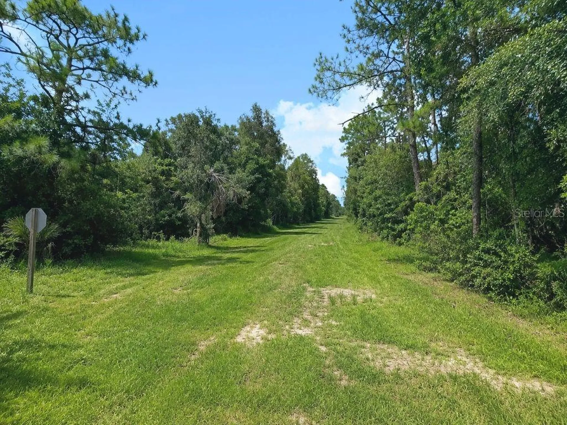 Blk 254 Lot 7 El Dorado Drive Indian Lake Estates FL 33855