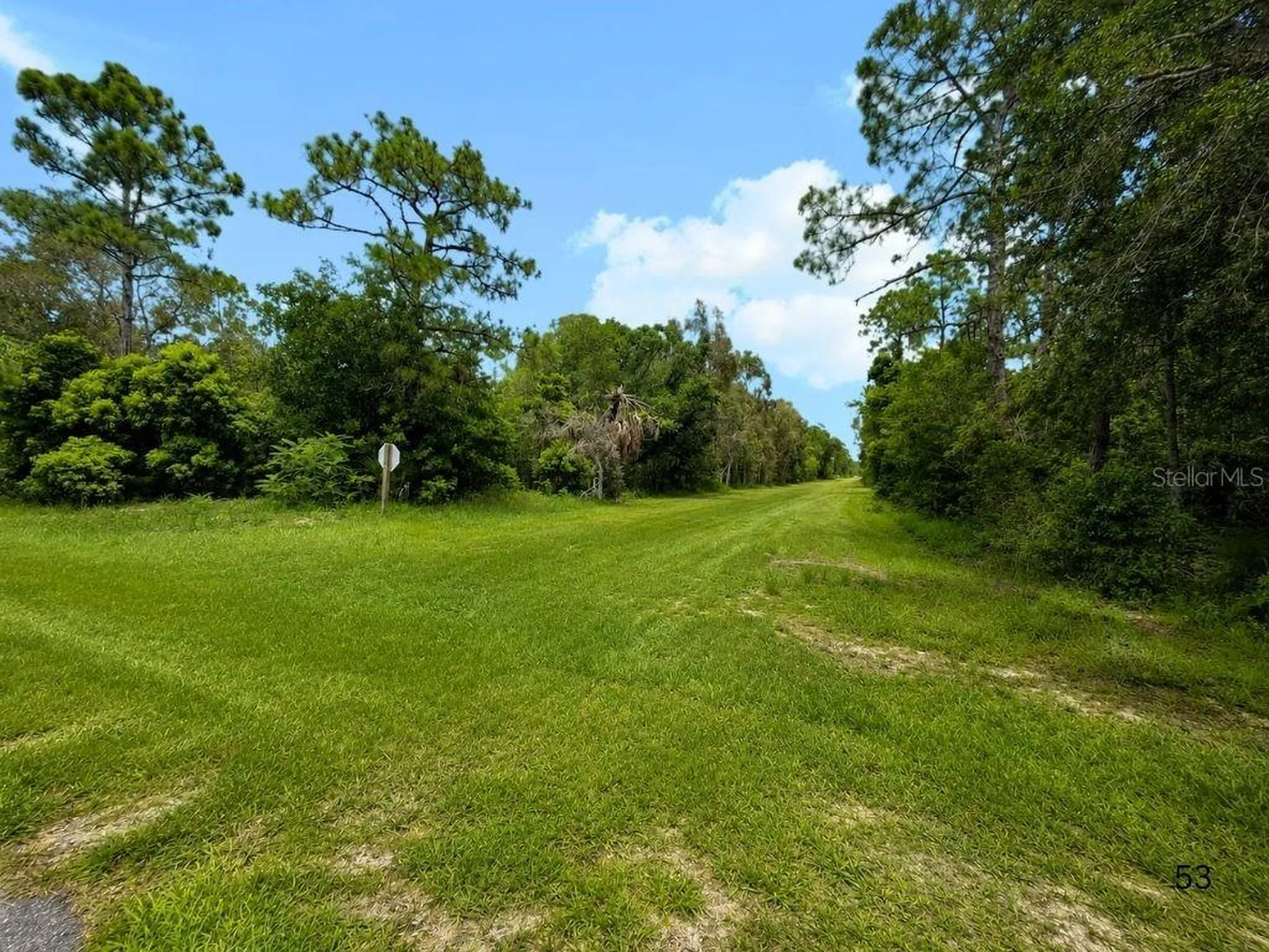 Blk 254 Lot 7 El Dorado Drive Indian Lake Estates FL 33855