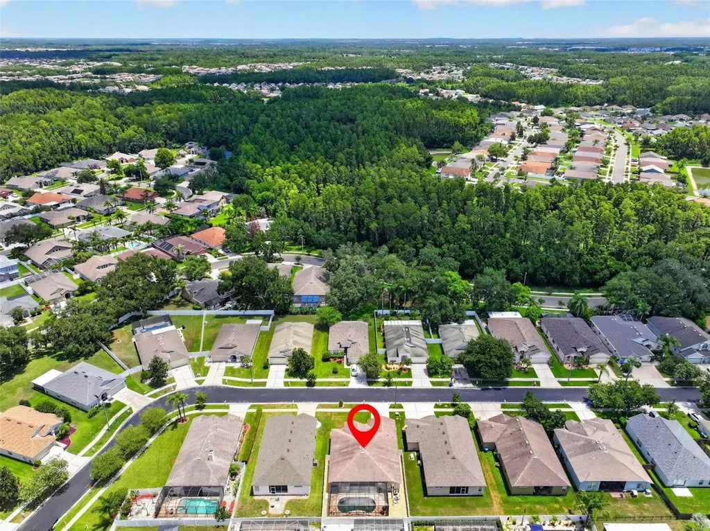 30524 Lanesborough Circle Wesley Chapel FL 33543