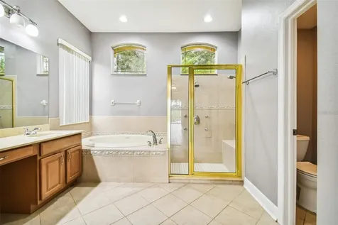 1110 Facet View Way Valrico FL 33594