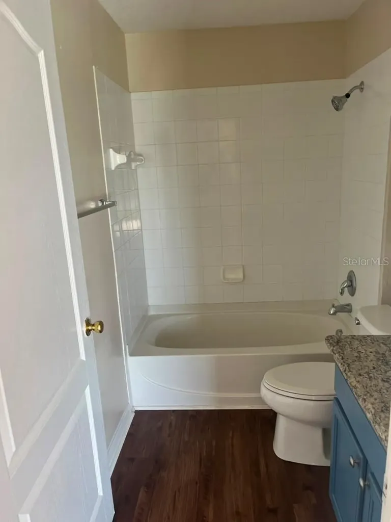 30918 Stone Arch Avenue Wesley Chapel FL 33545