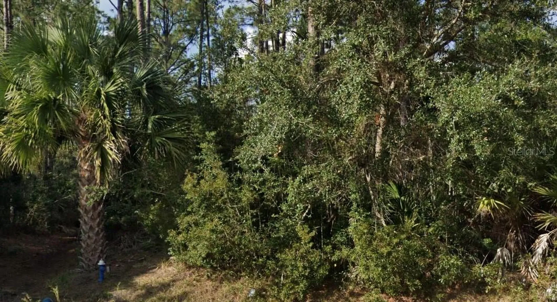 16 Sleeping Beauty Place Palm Coast FL 32164