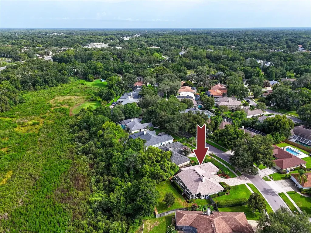 16706 Windsor Park Drive Lutz FL 33549