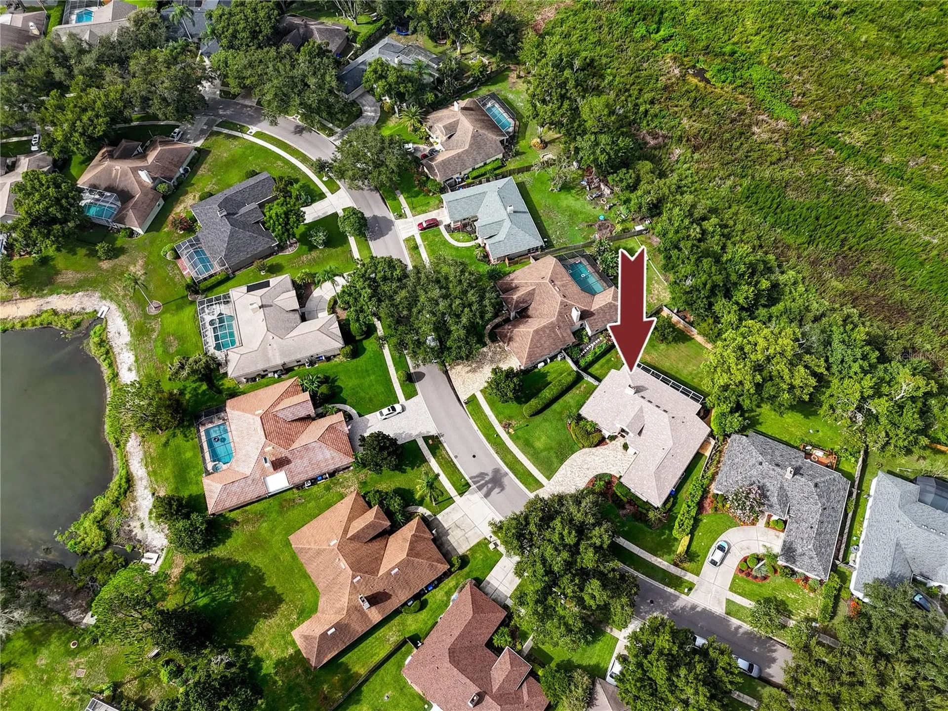 16706 Windsor Park Drive Lutz FL 33549