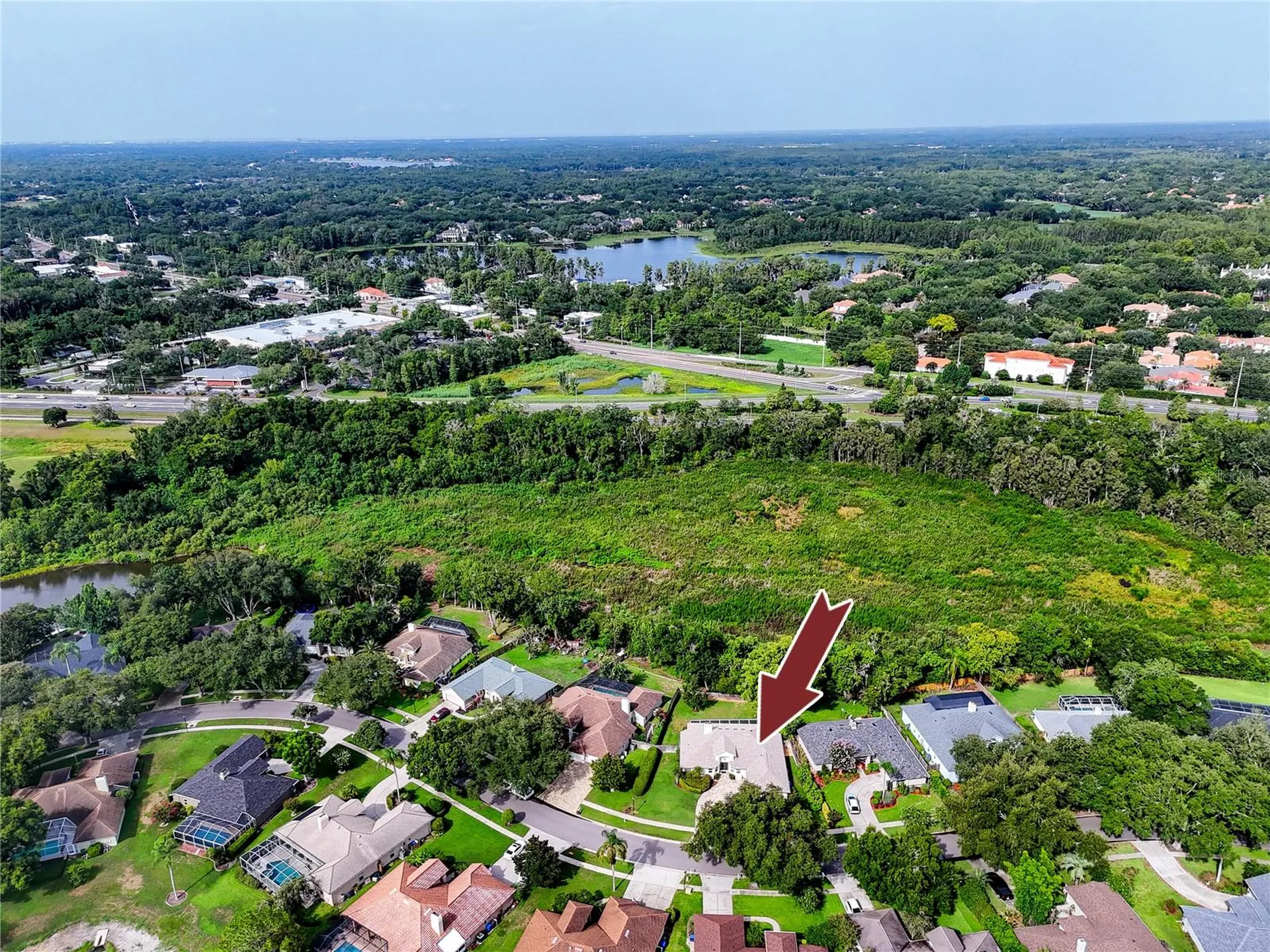 16706 Windsor Park Drive Lutz FL 33549
