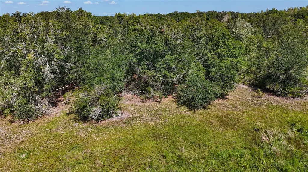 Red Hawk Lane Plant City FL 33565