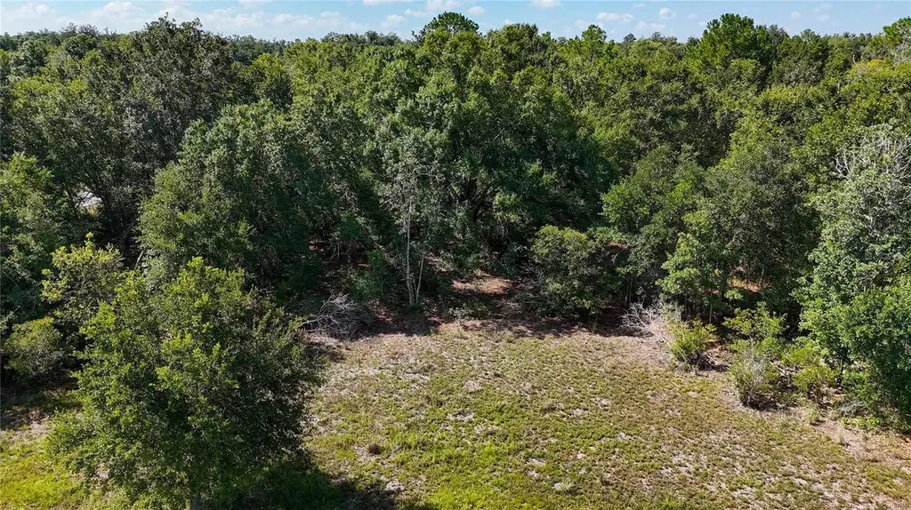 Red Hawk Lane Plant City FL 33565