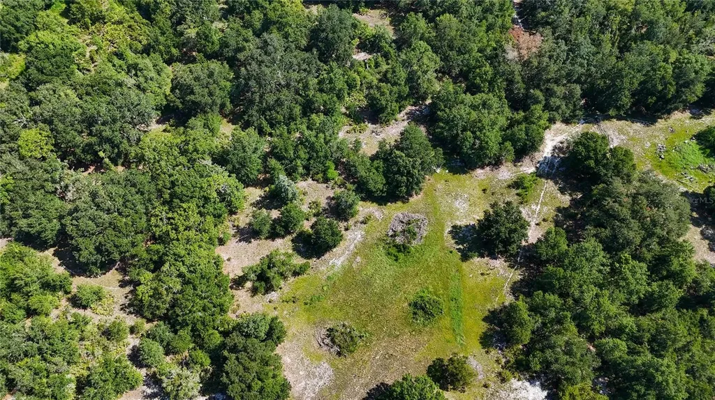 Red Hawk Lane Plant City FL 33565