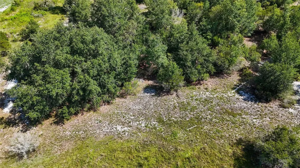 Red Hawk Lane Plant City FL 33565