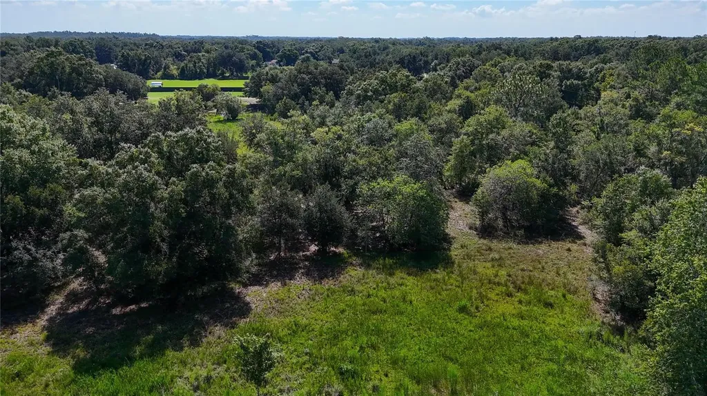 Red Hawk Lane Plant City FL 33565
