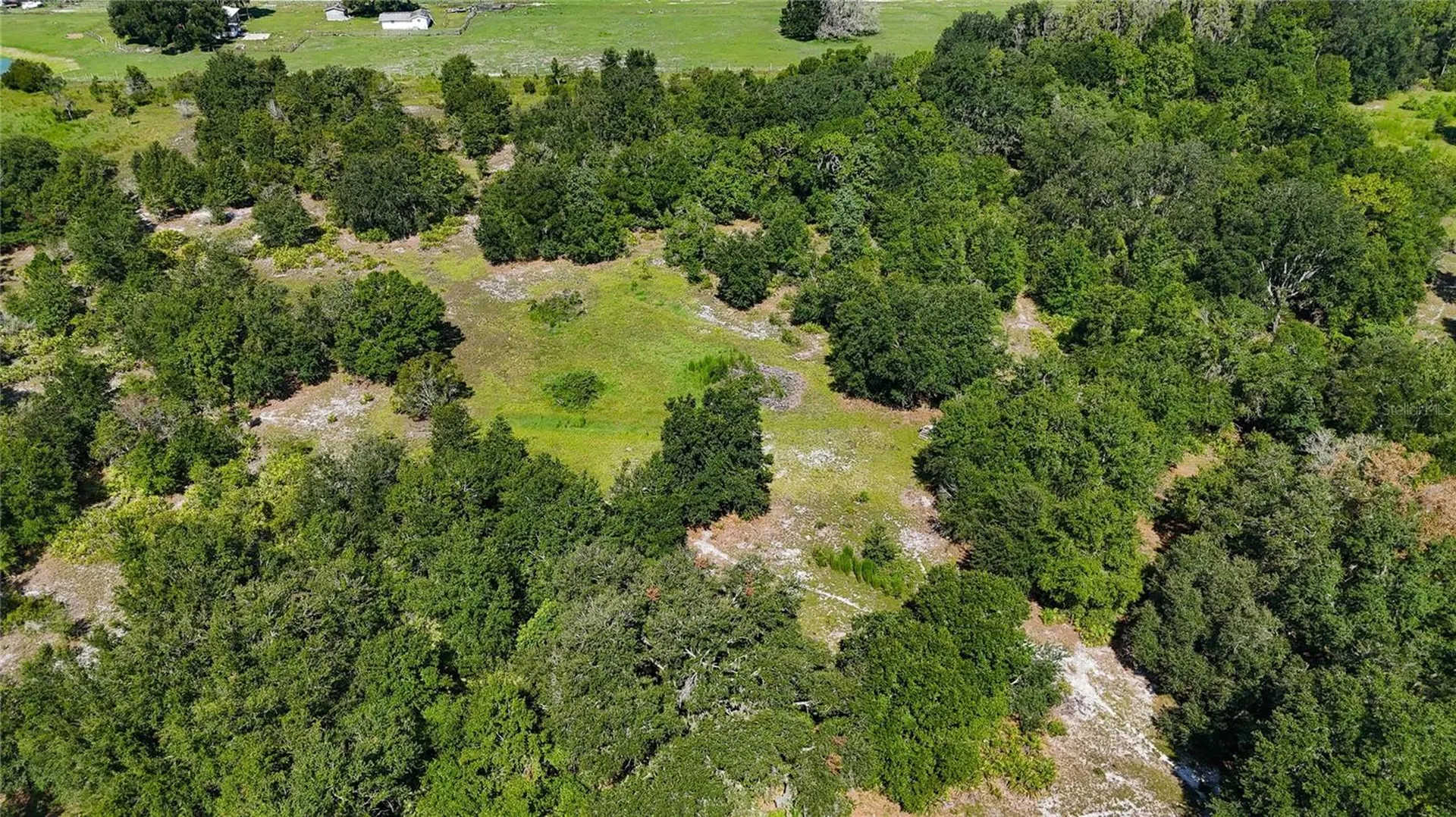 Red Hawk Lane Plant City FL 33565