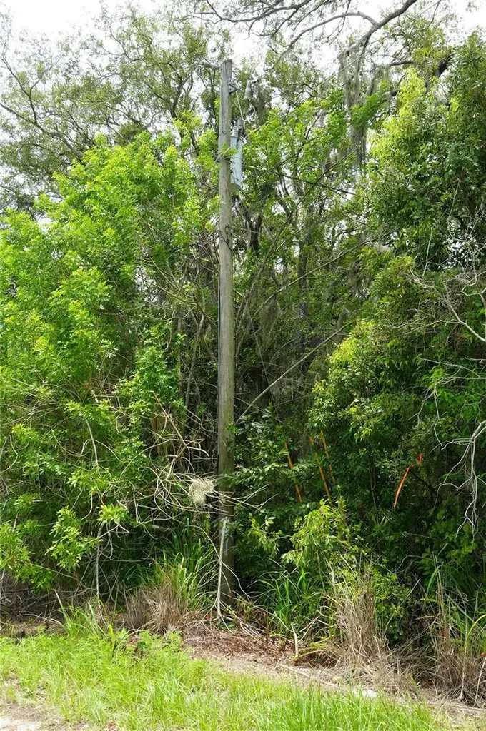 186 Avon Park Cutoff Road Frostproof FL 33843