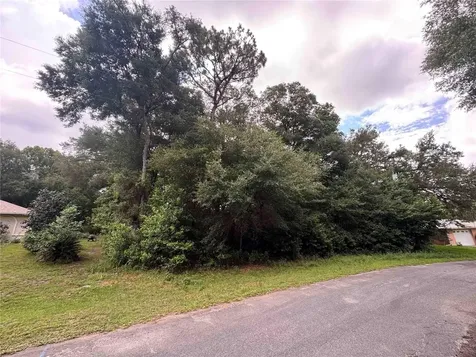 8371 N Titleist Drive Citrus Springs FL 34434
