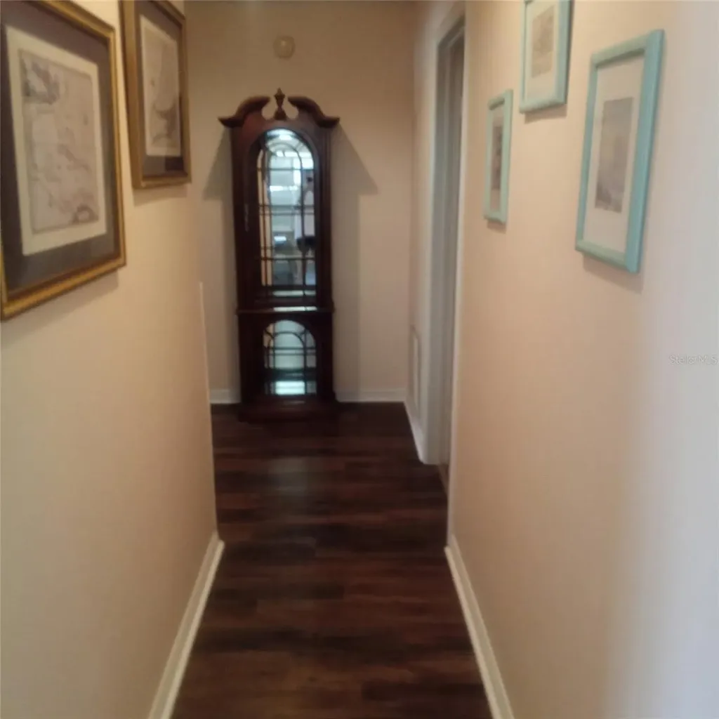15301 Montreat Way Tampa FL 33625