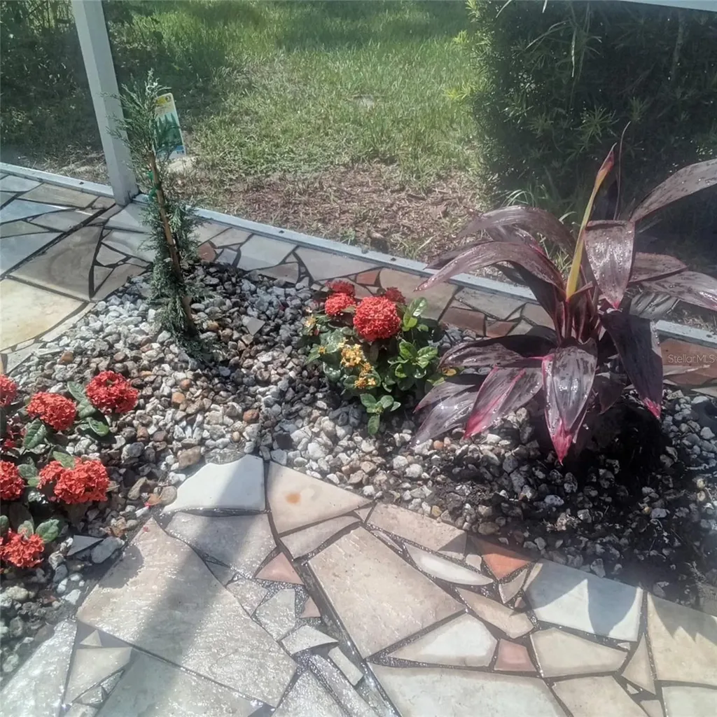 15301 Montreat Way Tampa FL 33625