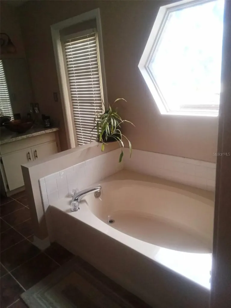 15301 Montreat Way Tampa FL 33625