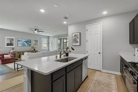 26 Winged Elm St Augustine FL 32092