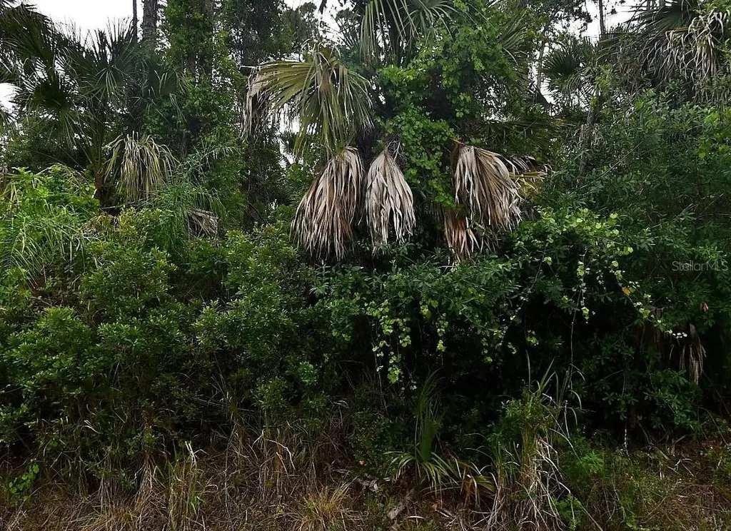La Rocha Street North Port FL 34286
