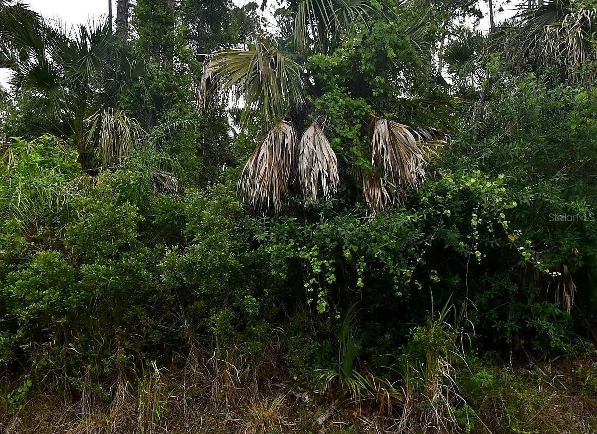 La Rocha Street North Port FL 34286