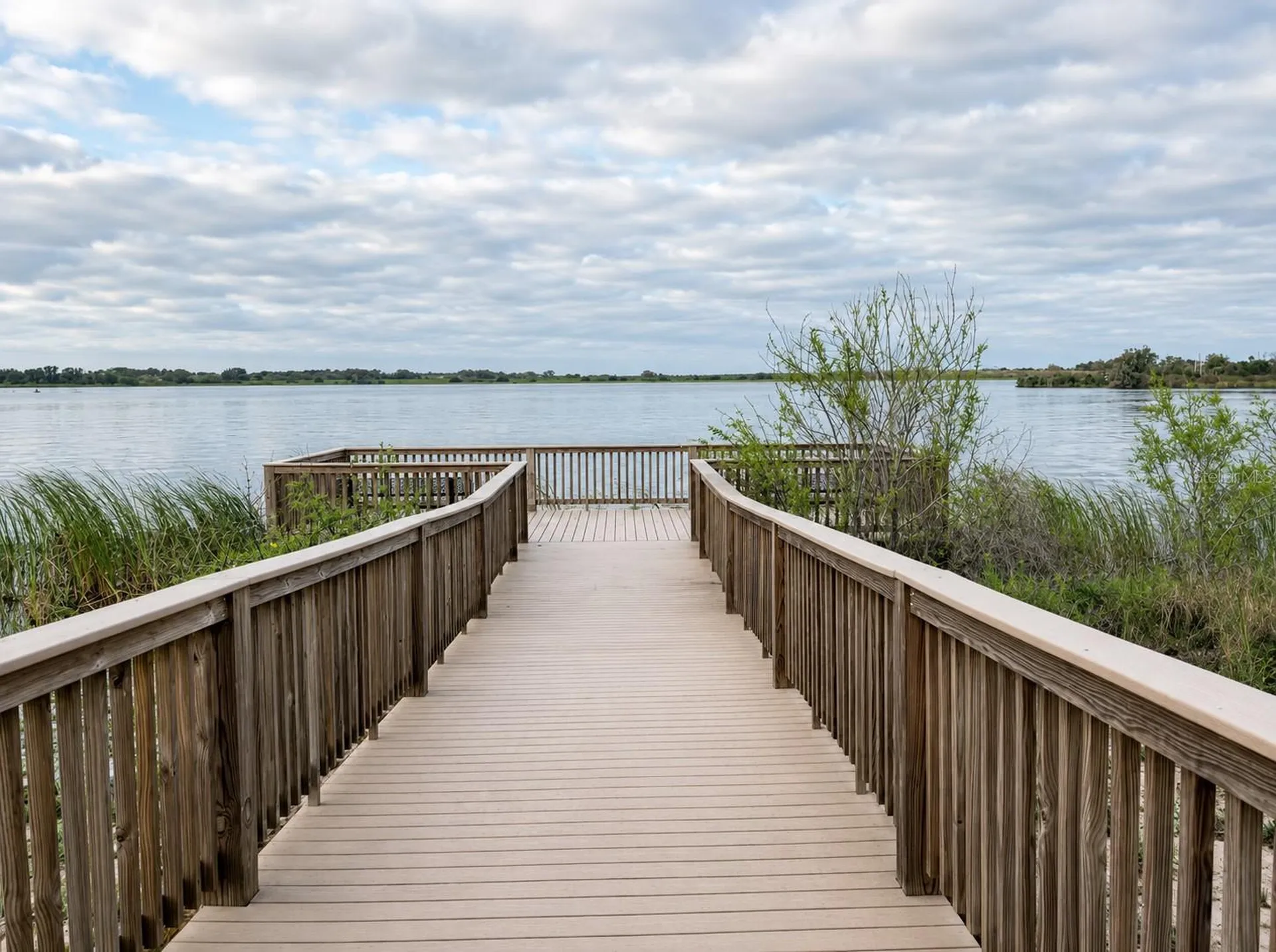 1117 Griffon Avenue Lake Alfred FL 33850