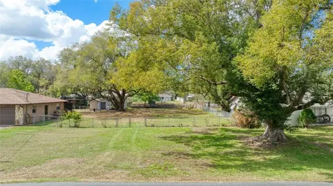 0 Lois Drive Tavares FL 32778