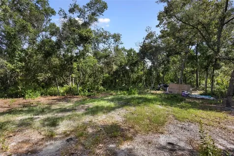 Doyle Road Deltona FL 32738