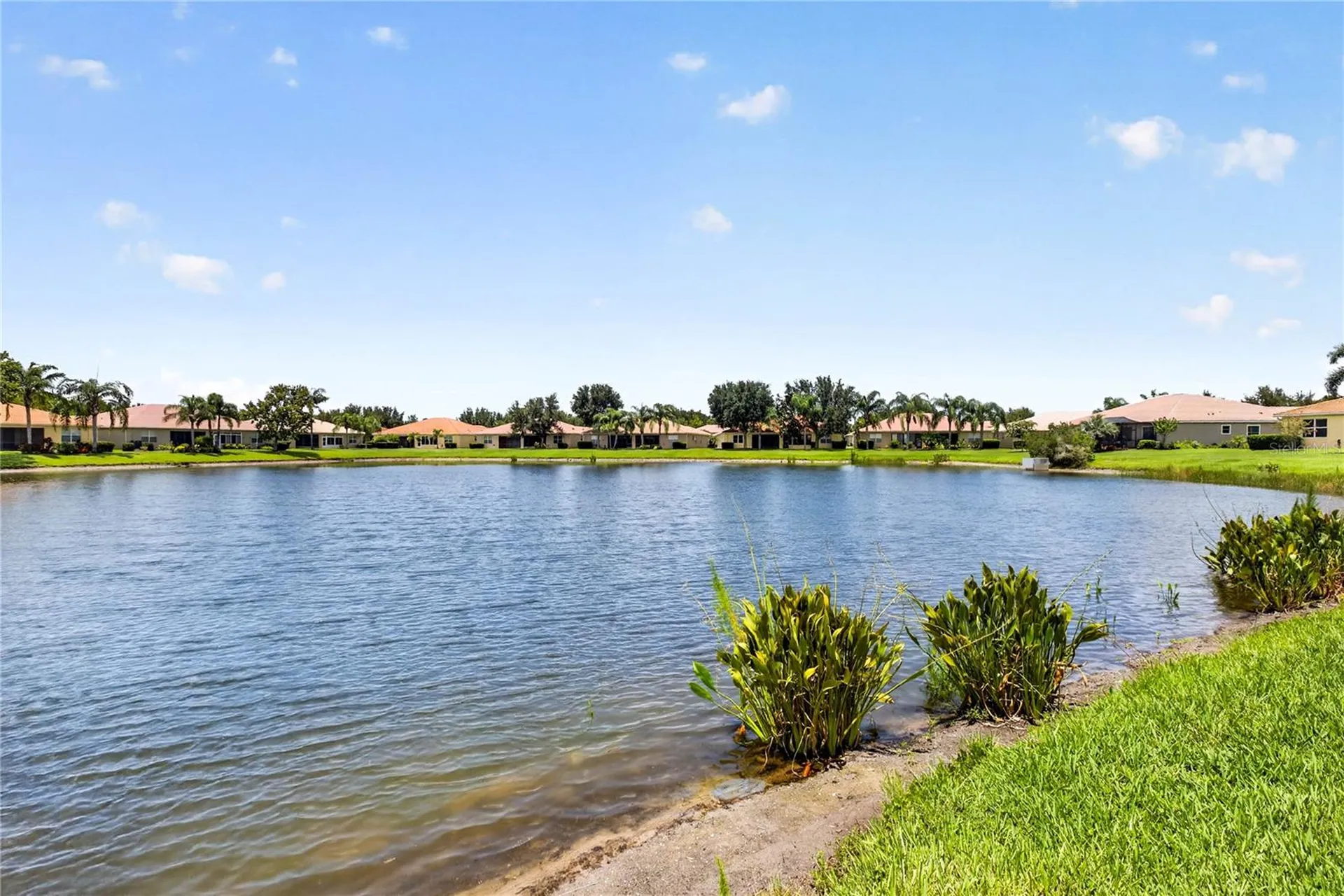 16141 Amethyst Key Drive Wimauma FL 33598