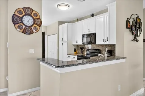 16141 Amethyst Key Drive Wimauma FL 33598