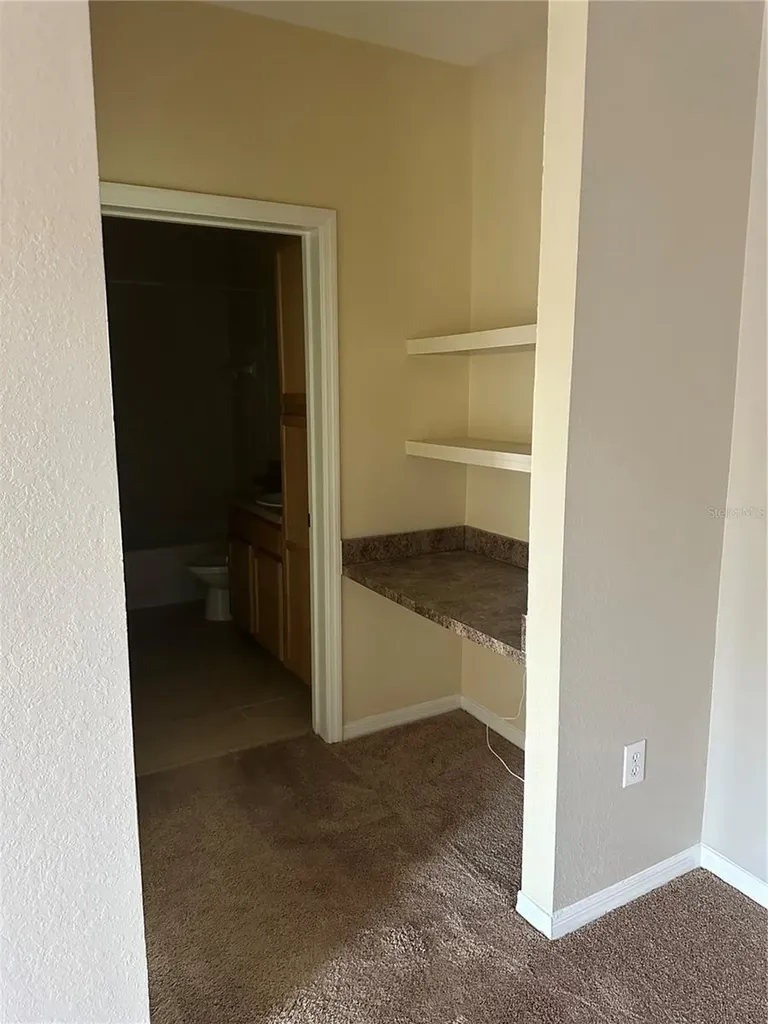 10105 Courtney Oaks Circle Tampa FL 33619