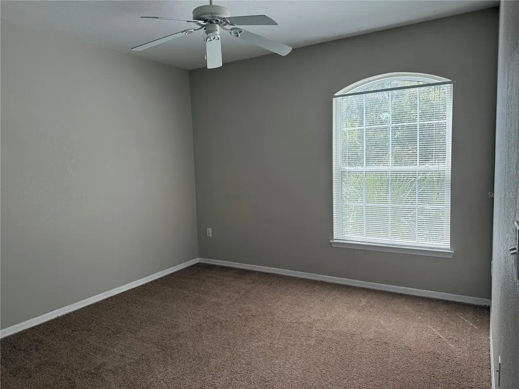 10105 Courtney Oaks Circle Tampa FL 33619